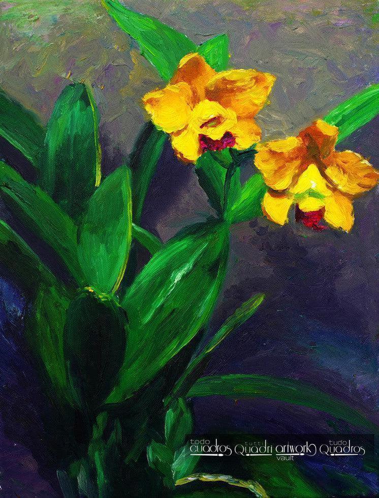 Goldknöpfchen, Blumenöl