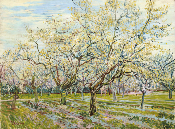 Der weiße Obstgarten, Van Gogh 