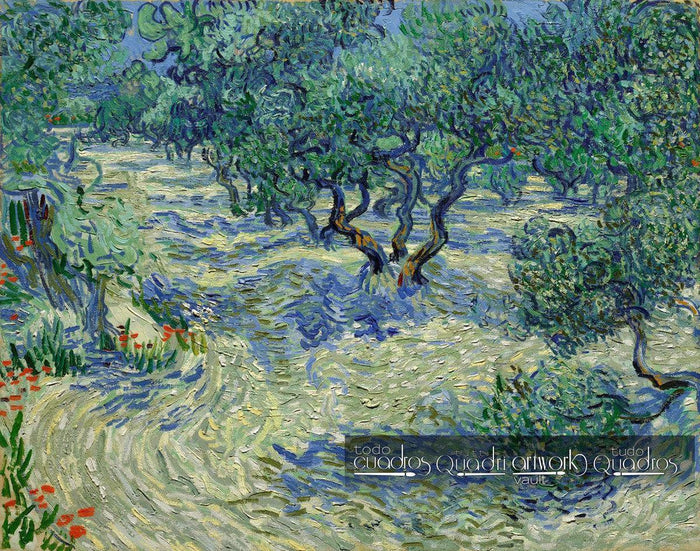 Olivenhain, Van Gogh